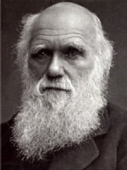 The Formation of Vegetable Mold Through the Actions of Worms, With Observations on Their Habits Charles Darwin