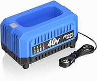 Replacement for Kobalt 40v Battery Charger KRC 40-06 KRC 60-06 KRC 840-03, Compatible with Kobalt 40