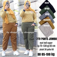 JUMBO PANTS 7/9 CAN WEIGHT 85-100 KG