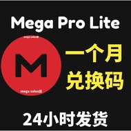 MEGA Online Disk Exchange Voucher PRO LITE Package Gold Voucher Gift Card