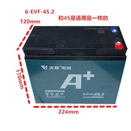 Tianneng 45.2AH Battery 6-EVF-45A 12V45.3AH Car 48V60V58A