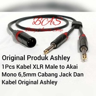 Ashley Canon XLR Male to Akai Mono 6.5mm Audio Cable 4 MTR - 7 MTR