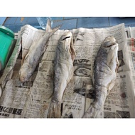 Sarawak Local Ikan Long masin Senangin Salted Fish