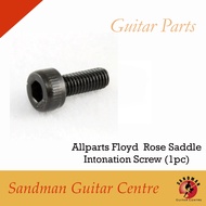 Allparts Floyd Rose Saddle Intonation Screw (1pc)