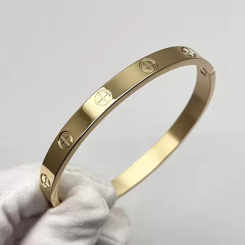 Luxury Brand Jewelry Fashion Stainless Steel Charm Luxury Jewelry LOVE Bangle SCREW Cartierred Brace
