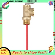 WYA-20 99C 102PSI 210F WYA-20 0.7Mpa to Valve  3/4 Inch Temperature and Pressure Relief Valve As  Sa