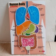 HUMAN BODY ABWAKIDS Papan Montessori Edukatif Puzzle dan Flash Card Mengenal Organ Tubuh Manusia Mai