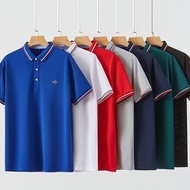 Polo shirt for men, Polo T-shirt for business, Polo shirt for summer, embroidered polo collar for men, loose and casual T-shirt top for men