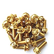 Stainless Steel Nut No. 12 Flower Drill M8 Gold