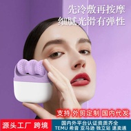 Facial Ice Packer Face Packing Ice Tray Massage Double-Headed Ice Roller Face Packing Ice Mold Ice F