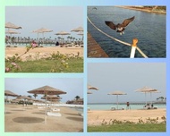 Scandic Resort: Comfy & Cozy. A433