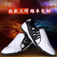 SF Woosung Taekwondo Shoes Kids Men's Summer Sanda Training Martial Arts Shoes Breathable Adult Coach Shoes