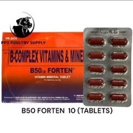 SAGUPAAN B50 FORTEN VITAMIN B COMPLEX FOR GAMEFOWL ( 10 TABLETS)