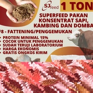 Aglaonema Red Sumatra | Pride Of Sumatra | Pos | Anak 4-6 Daun Ready