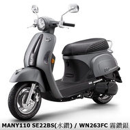 2023年 MANY 水鑽版 110CC(可分期0元交車) 最低月付3006元 中古機車 二手機車 魅力