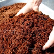 Coconut Fiber Cocopeat