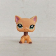 【Ready Stock】littlest pet shop Pets Doll Cat Dog Chihuahua Figure Toys littlest pet shop house littl