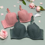 SORELLA 29918 Bra - Underwire - Full Cup - Size 36-42 Cup D & E - Thin Foam - Sorella Bra