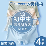 Junior High School Students Developmental Children's Underwear 12 Years Old 14 Years Old Children Te