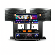 Family KTV Sound System Home Cinema Karaoke Set