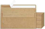 200 Kraft #10 Business Envelopes, Self Seal Standard Envelopes, Windowless Business Mailing Envelope