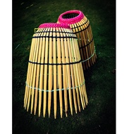 Serkap Ikan (Only In Malaysia)