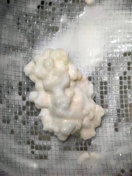 Kefir