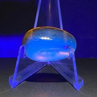 天然緬甸琥珀 蟲珀 4克 Amber 金珀 原石 琥珀 白堊紀 時空膠囊