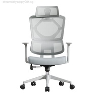 Ergonomic Office Chair Home Study Mesh Computer Chairs Lumbar Support A2