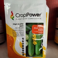 Benih Timun Lebat Black Steel F1 DC 777 20gm