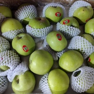 Apel Hijau Granny Smith Import Fresh