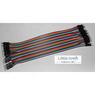 Jumper Wire 1P-1P 2.54mm Male to Male 20cm For Arduino, Respberry