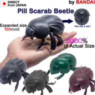 [Direct from Japan][Used]Bandai Gashapon Pill Scarab Beetle Big Figure 100mm 20:1 Insect Bug