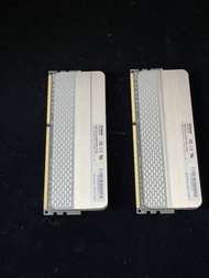 KLEVV DDR3 1600MHz 8GB 記憶體兩條