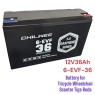 Chilwee 6-EVF-36 Battery 6-EVF32.5 12V36Ah 12V33Ah Tricycle Electric Scooter Wheelchair Battery Soot
