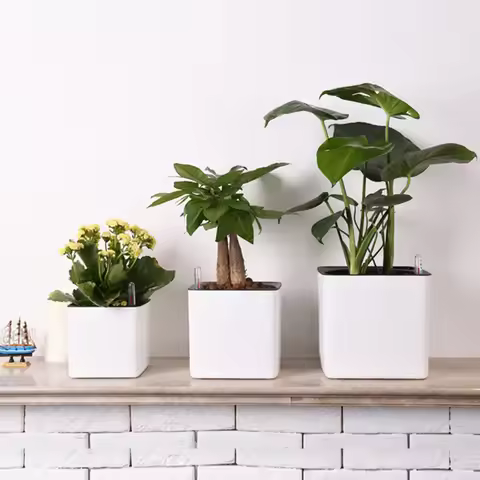 3 size Lazy flowerpot Green Plant Self Watering Flower Pot automatic water absorption green ivy pot 