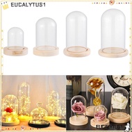 EUCALYTUS1 Glass cloche Terrarium Tabletop Home Decor Transparent Bottle Glass Vase Jar Wooden base