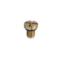 [2026 Hot Sale]Coolant Expansion Tank Bleeder Screw Brass Most Models Replacement for BMW E36 E39 E4
