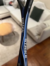 Karakal Strike 125g 壁球拍