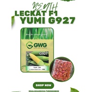 BENIH JAGUNG LECKAT F1 YUMI G927 (500GM) JAGUNG MANIS GWG