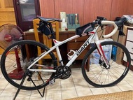 捷安特 Giant Anyroad 2 白色 全地形 跨界 越野 公路車