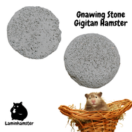 Gnawing Stone Hamster - Gigitan Hamster