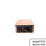 D10 miniature home power amplifier box
