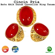 Red Carnelian Blood Agate Ring Planting Ring