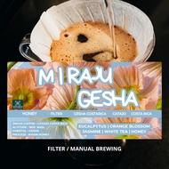 Coffee Gesha Costa rika Miraju | Beskabean | Geisha Costa rikaHONEY Coffee Bean