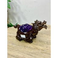 Collectibles Welfare Price Premium Uruguay Pure Dragon Turtle Amethyst Ornaments 1.0kg Purple Qi Don
