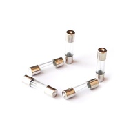 20 Pieces of Glass Fuse Tube 4A 250V 5X20MM