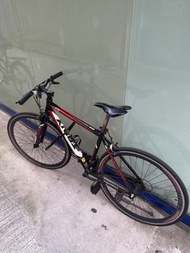 Trinx Tempo 700C 鋁合金公路車