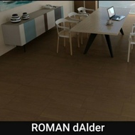 ROMAN Granit Motif Kayu dAlder Series 15x60 KW1