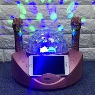 SD308 Dual Wireless Microphone Bluetooth Speaker Mobile Karaoke Stereo Black 20W SDRD Speaker Se